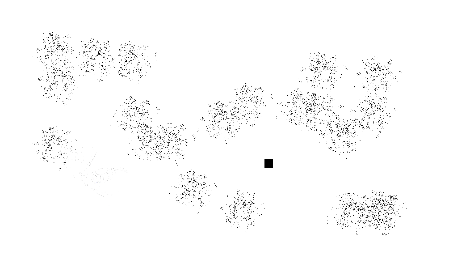 Charly Says